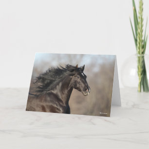 Carte Bob Langrish Casque andalou de Mane Flow