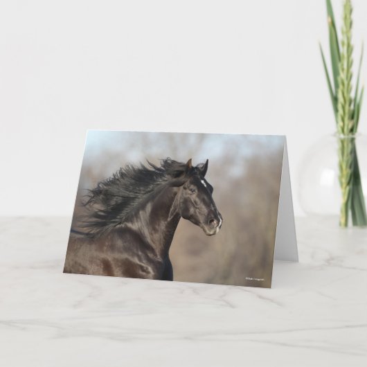 Carte Bob Langrish | Casque andalou de Mane Flow (Devant)