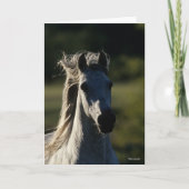 Carte Bob Langrish | Casque Andalou gris rétroéclairé (Devant)