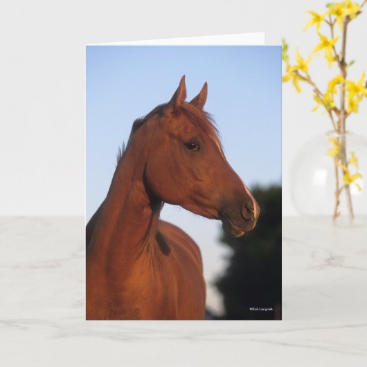 Carte Bob Langrish | Casque arabe châtaigner (Fleur jaune)