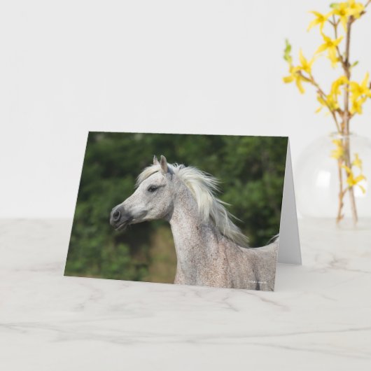 Carte Bob Langrish | Casque arabe gris (Fleur jaune)