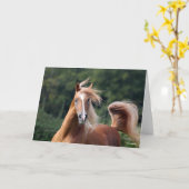 Carte Bob Langrish | Casque d'étoile arabe châtaigne (Fleur jaune)