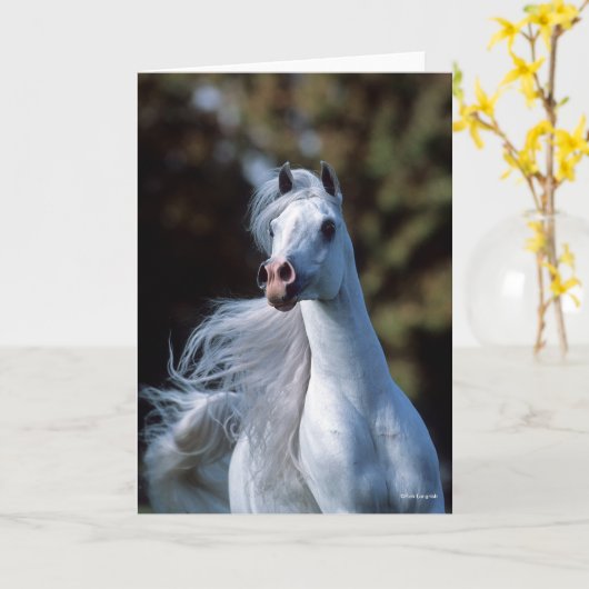 Carte Bob Langrish | Casque d'étoile arabe grise (Fleur jaune)