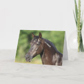 Carte Bob Langrish | Casque espagnol Mustang Mare (Devant)