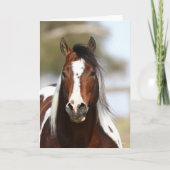 Carte Bob Langrish | Casque Stallion de peinture (Devant)
