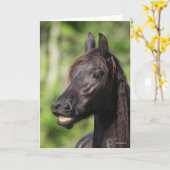 Carte Bob Langrish | Casquette noire Friesian Flehmen (Fleur jaune)