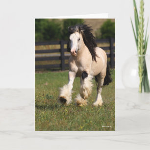 Carte Bob Langrish Champagne Couleur Gypsy Vanner Runnin