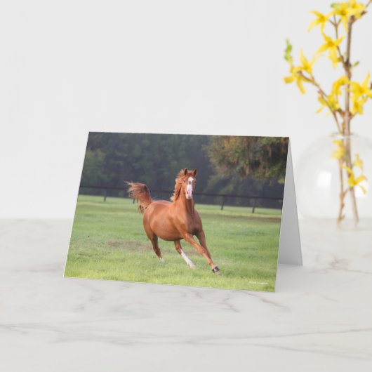 Carte Bob Langrish | Châtaignes Oldenburg Running (Fleur jaune)