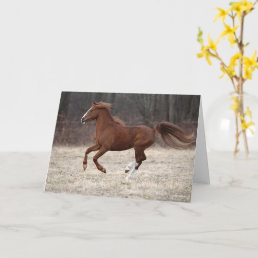 Carte Bob Langrish | Chestnut Hackney Pony Running (Fleur jaune)