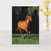 Carte Bob Langrish | Chestnut Warmblood Mare Running (Fleur jaune)