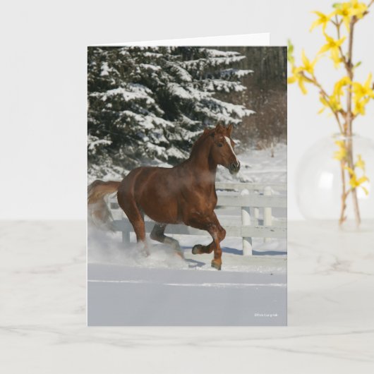 Carte Bob Langrish | Cheval De Châtaignes Courant Dans L (Fleur jaune)