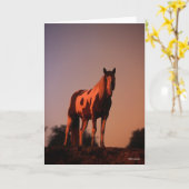 Carte Bob Langrish | Cheval de peinture debout au couche (Fleur jaune)