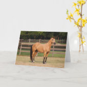 Carte Bob Langrish | Cheval de quart en peau de seau deb (Fleur jaune)