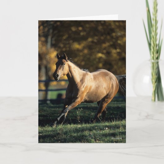 Carte Bob Langrish | Cheval Dun Quarter Courir (Devant)