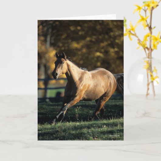 Carte Bob Langrish | Cheval Dun Quarter Courir (Fleur jaune)