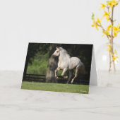 Carte Bob Langrish | Cheval Lusitano Courir (Fleur jaune)