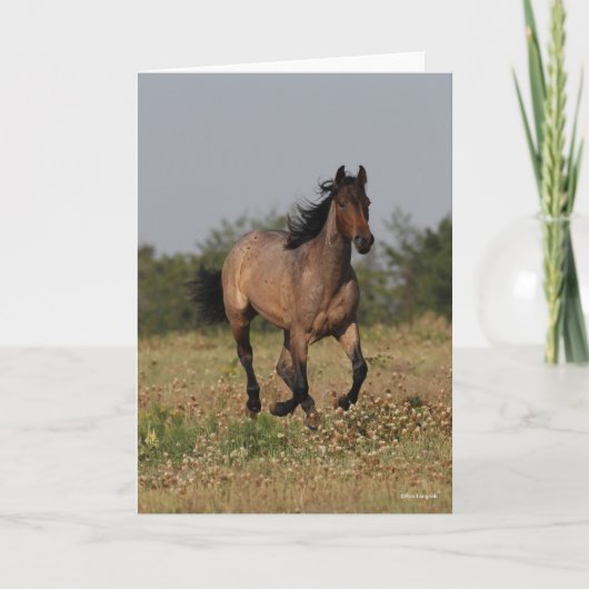 Carte Bob Langrish | Cheval Quart Courant En Fleurs (Devant)