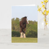 Carte Bob Langrish | Cheval Shire En Champ (Fleur jaune)