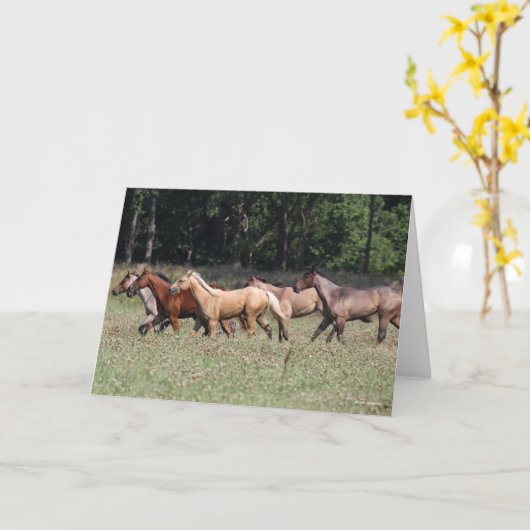 Carte Bob Langrish | Chevaux du quartier des troupeaux m (Fleur jaune)