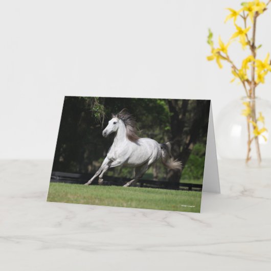 Carte Bob Langrish | Dapple Grey Andalucian Running (Fleur jaune)