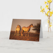 Carte Bob Langrish | Deux Arabes gris debout au coucher  (Fleur jaune)