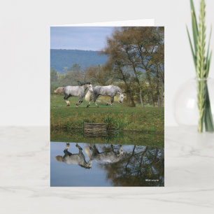 Carte Bob Langrish   Deux Bois Chauds Ensemble Par Lac