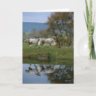 Carte Bob Langrish | Deux Bois Chauds Ensemble Par Lac