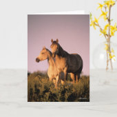 Carte Bob Langrish | Deux Chevaux arabes debout au couch (Fleur jaune)