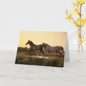 Carte Bob Langrish | Deux chevaux arabes marchant au cou (Fleur jaune)