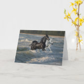 Carte Bob Langrish | Deux Chevaux Arabes Marchant Dans L (Fleur jaune)