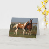 Carte Bob Langrish | Deux Chevaux De Peinture Jouant Ens (Fleur jaune)