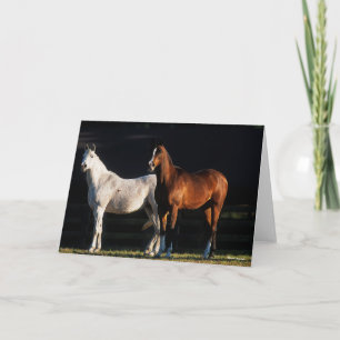 Carte Bob Langrish   Deux Marais Arabes Se Trouvant Sous