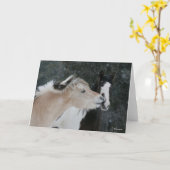 Carte Bob Langrish | Deux Ponts Se Retrouvant Dans La Ca (Fleur jaune)