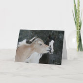 Carte Bob Langrish | Deux Ponts Se Retrouvant Dans La Ca (Devant)