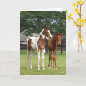 Carte Bob Langrish | Deux poulains du cheval sportif deb (Fleur jaune)