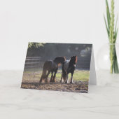 Carte Bob Langrish | Deux Vannières Tsiganes En Champ Ré (Devant)