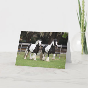 Carte Bob Langrish   Deux vannières tziganes noires et b