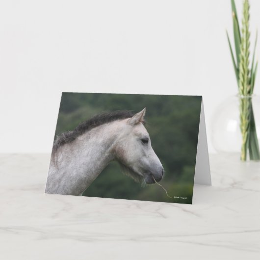 Carte Bob Langrish | Gallois Section A Capture D'Écran P (Devant)