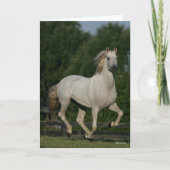 Carte Bob Langrish | Gray Andalucian Running (Devant)