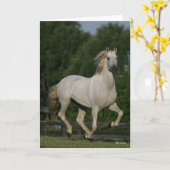 Carte Bob Langrish | Gray Andalucian Running (Fleur jaune)