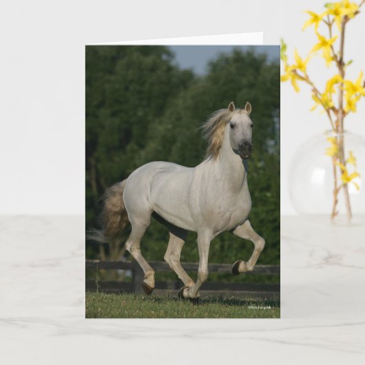 Carte Bob Langrish | Gray Andalucian Running (Fleur jaune)