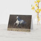 Carte Bob Langrish | Gray Andalucian Running (Fleur jaune)