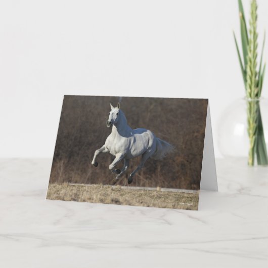 Carte Bob Langrish | Gray Andalucian Running (Devant)