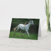 Carte Bob Langrish | Gray Andalucian Stallion Courir (Devant)