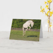 Carte Bob Langrish | Gray Andalucian Stallion Leaping (Fleur jaune)