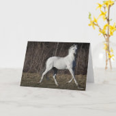Carte Bob Langrish | Gray Andalucian Stallion Walking (Fleur jaune)