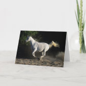 Carte Bob Langrish | Gray Arab Mare Running (Devant)
