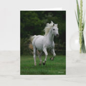 Carte Bob Langrish | Gray Arab Running (Devant)