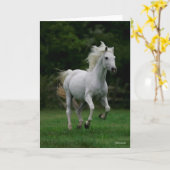 Carte Bob Langrish | Gray Arab Running (Fleur jaune)