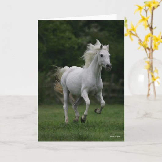 Carte Bob Langrish | Gray Arab Running (Fleur jaune)